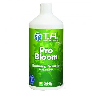 Foto G.h bloom ghe