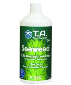 Foto G.o seaweed ghe