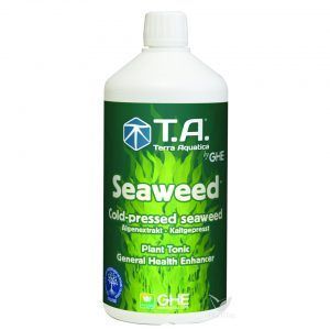 Foto G.o seaweed ghe