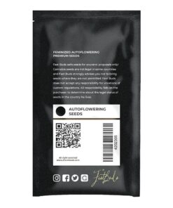 Original auto russian (1) fastbuds seeds - Imagen 2