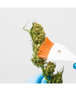 Foto Cannabrush