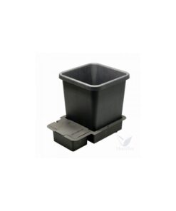 Modulo 1 pot