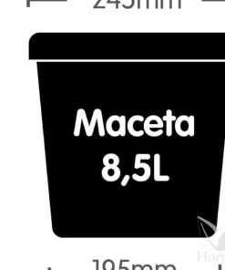 Maceta autopot 8.5 l - Imagen 6
