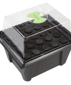 Alternative view of Propagador x-stream