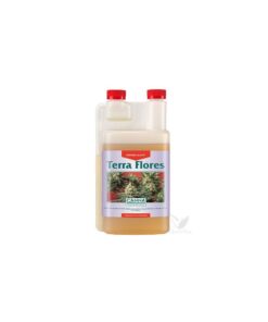 Foto Terra flores canna