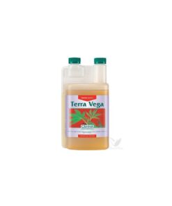 Foto Terra vega canna