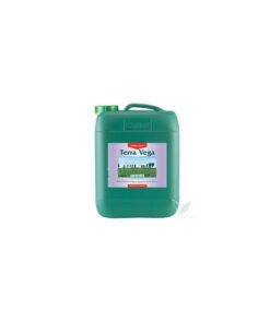 Terra vega canna - Imagen 2