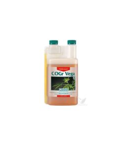Foto C.cogr vega a+b canna