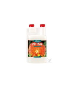 Foto Pk 13-14 canna