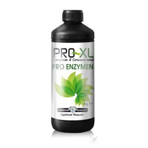 Foto Pro enzymen pro-xl