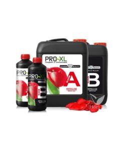 Foto Bloom a&b pro-xl
