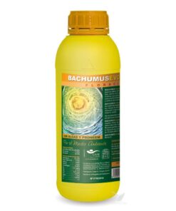 Foto Bachumus evolution-f trabe