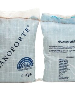 Foto Guanoforte grow trabe