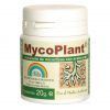 Foto Mycoplant polvo trabe