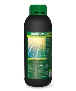 Foto Bachumus evolution-c trabe