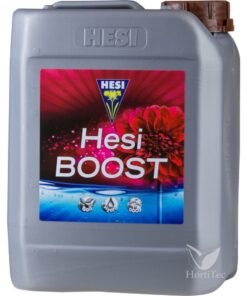 Boost hesi - Imagen 2