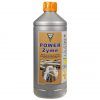 Foto Powerzyme hesi