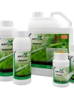 Regulator aptus - Imagen 5