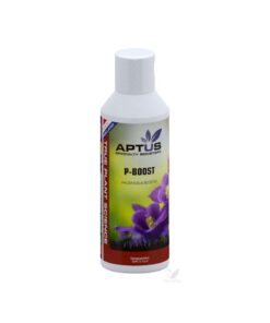 Alternative view of P-boost aptus