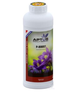 Foto P-boost aptus
