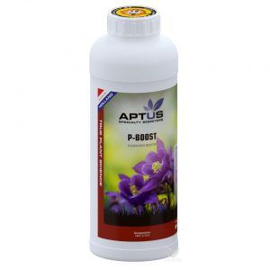 Foto P-boost aptus