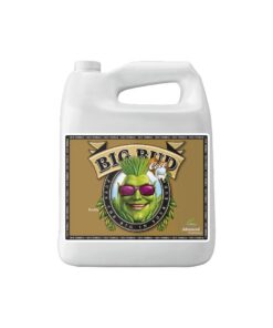 Big bud coco liquid advanced nutrients - Imagen 2