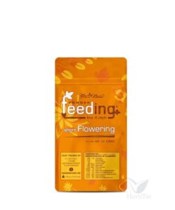 Short flowering indica green house - Imagen 4