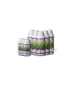 Foto Root starter 250 ml hortifit
