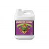 Foto Kushie kush advanced nutrients