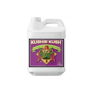 Foto Kushie kush advanced nutrients