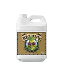 Big bud coco liquid advanced nutrients - Imagen 6