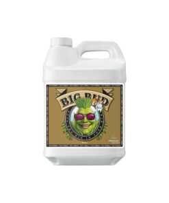 Big bud coco liquid advanced nutrients - Imagen 5