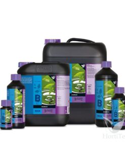 Hydro a+b b´cuzz - Imagen 2