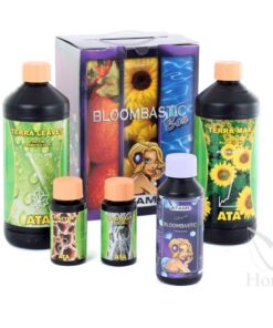 Foto Ata/terra bloombastic box