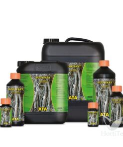 Foto Rootfast ata