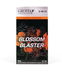 Foto Blossom blaster grotek