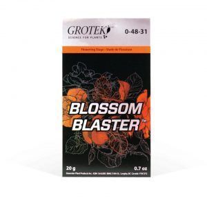 Foto Blossom blaster grotek