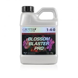 Foto Blossom blaster pro grotek