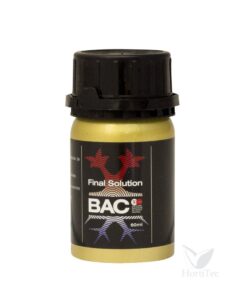 Foto Final solution bac