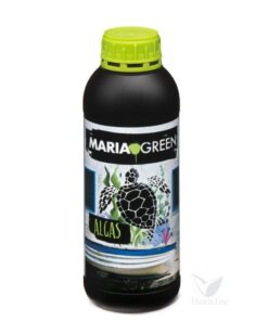 Foto Huano maria green