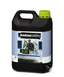 Algas marinas maria green - Imagen 3