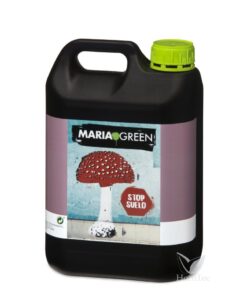 Stop suelo maria green - Imagen 3
