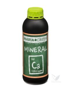 Foto Mineral ca maria green