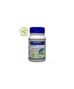 Alternative view of Equiprot prot-eco