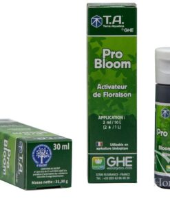 Alternative view of G.h bloom ghe