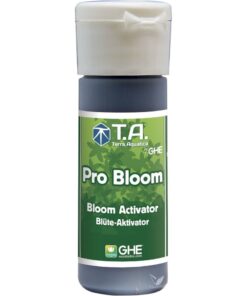 G.h bloom ghe - Imagen 3