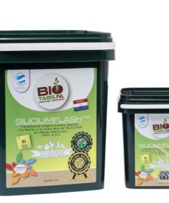 Foto Silicium flash biotabs