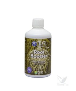 Alternative view of G.o root plus ghe