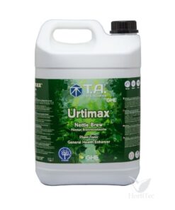 G.o urtica ghe - Imagen 3