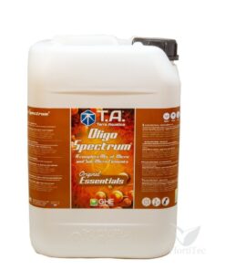 Essentials ghe - Imagen 3